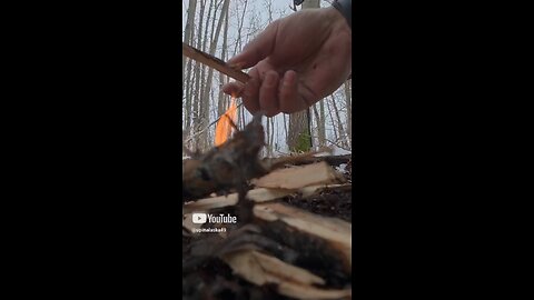 Sharp Bushcraft Knife👆🏼#Subscribe #Bushcraft #Survival #Camping #Outdoors #Alaska #Nature #DJI