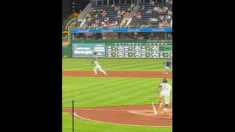 A baseball fan was taken off the field on a cart after plummeting more than 20 feet from the stands