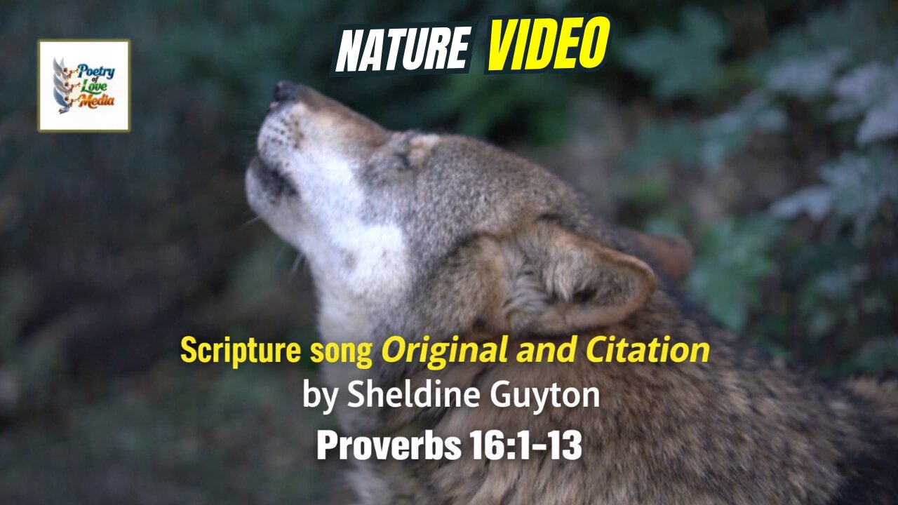 Scripture Song Original & Citation | Proverbs 16:1–13 | Sheldine Guyton