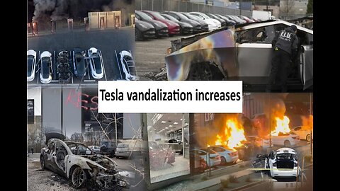 Rep Eric Schmitt on Attacks against Tesla, calls out leftist decades of terrorism