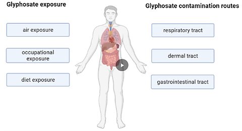 "Detoxification Tips: An Interview with Dr. Dietrich Klinghardt on Removing Glyphosate"