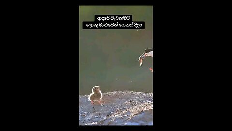 lovely mother give big fish