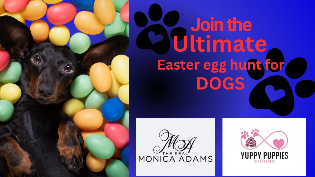 Easter Egg Hunting for your DOGS!