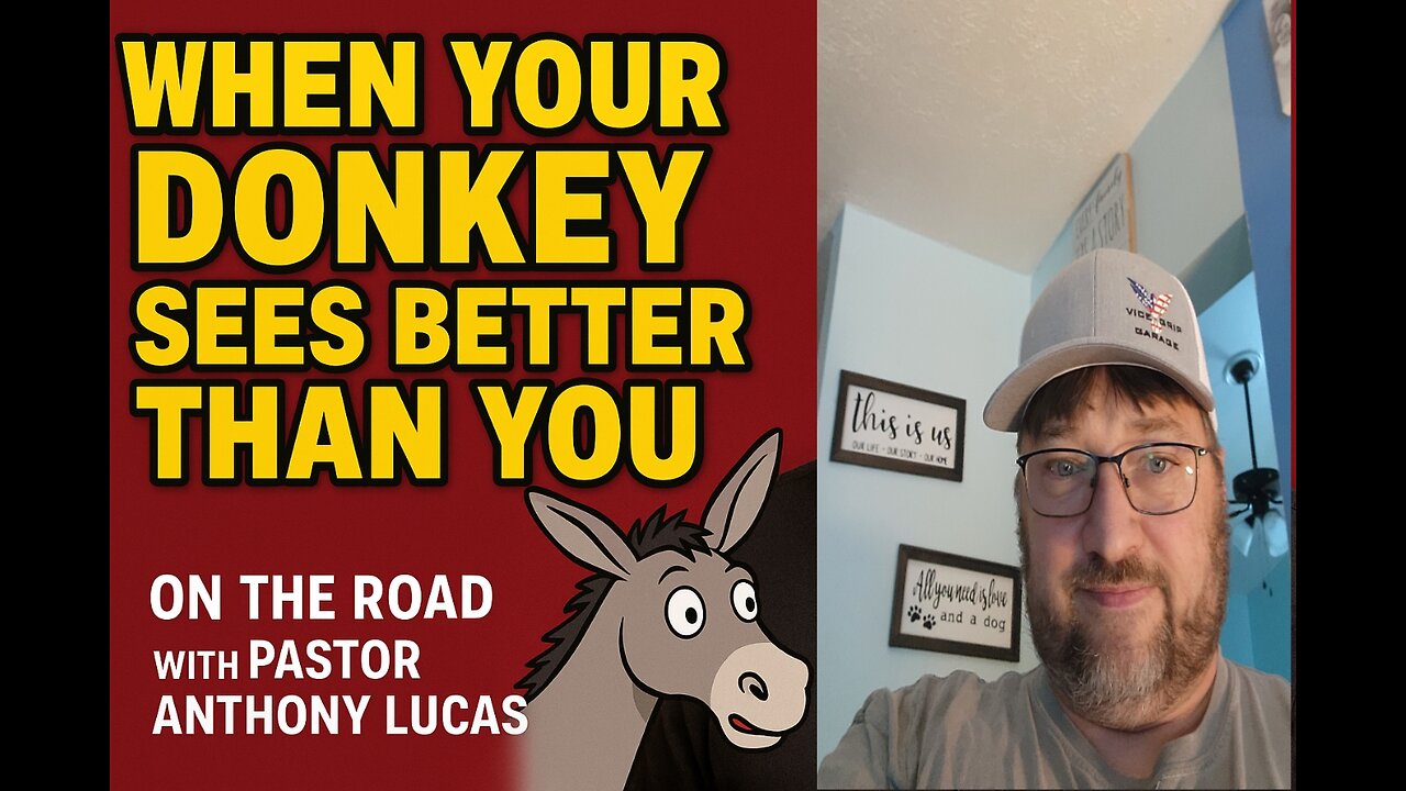 When your Donkey sees better than you.