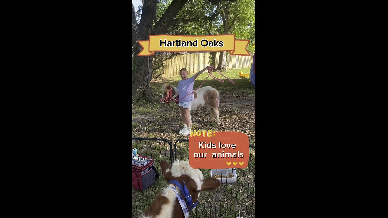 Everyone loves farm animals!