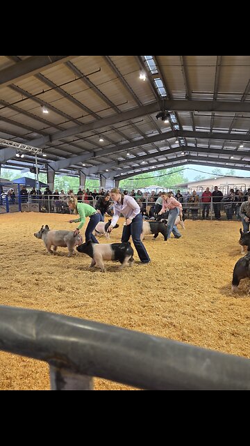 Southern Oregon Livestock jackpot 2025