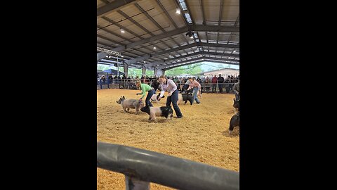 Southern Oregon Livestock jackpot 2025