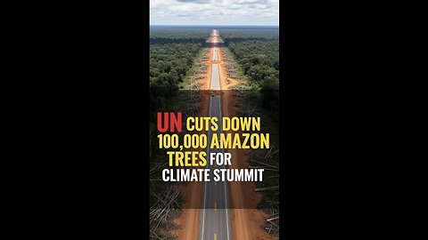 UN Cuts Down 100,000 Amazon Trees for a "Climate Summit"