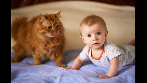 CUTE CAT TAKING CARE OF BABIES|BABIES AND CAT BONDAGE