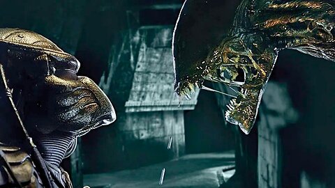 🔥 Xenomorph vs Predator | Brutal Kill Scene | AVP - Alien vs Predator 💥