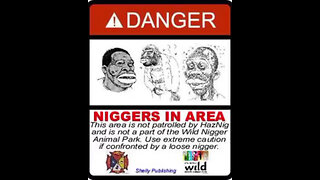 Diverse and chaotic scene captured on video at Detroit Community High School