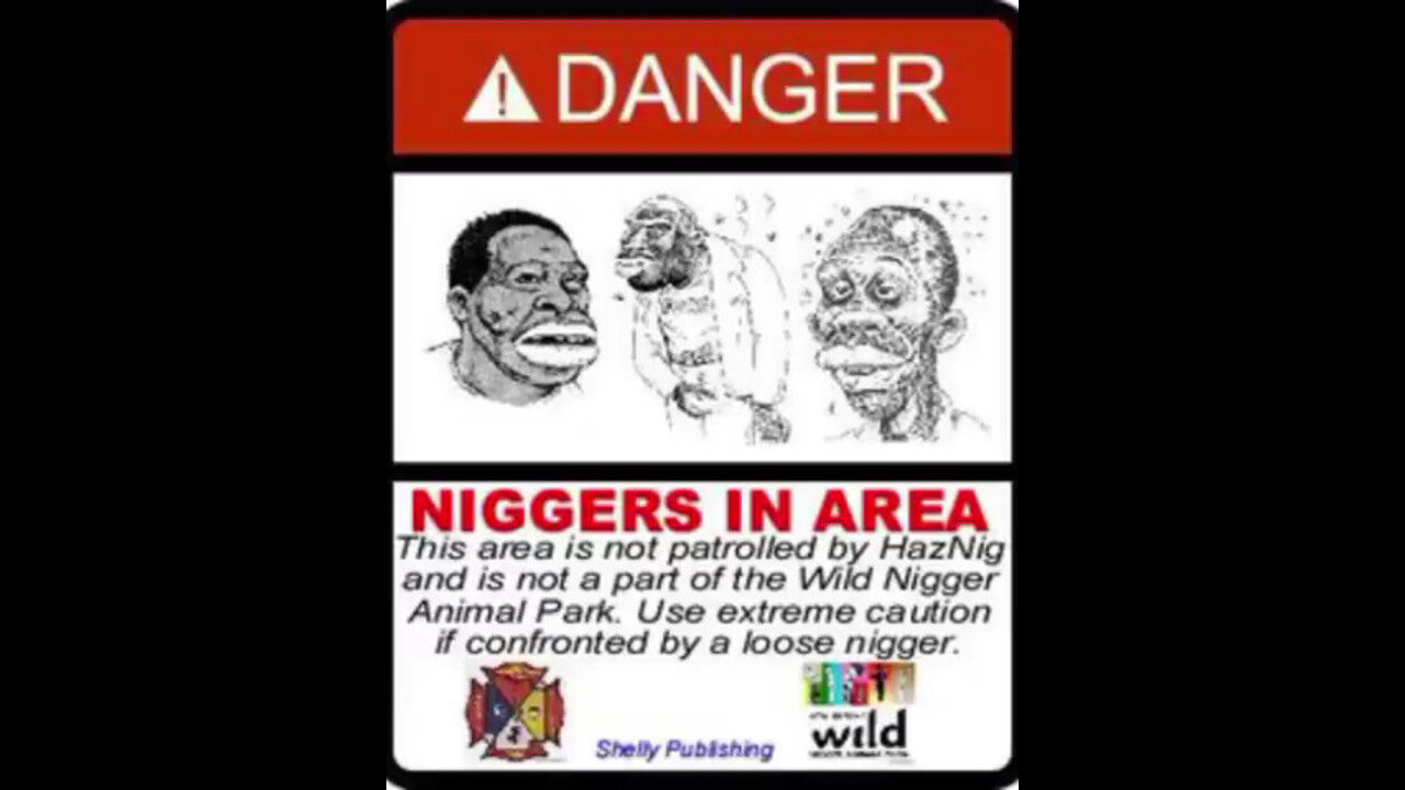 Diverse and chaotic scene captured on video at Detroit Community High School