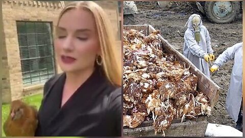 "US Government's Democide Tactics: The Startling Reality of 92 Million Chicken Cull"
