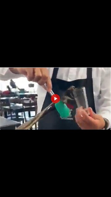 Not no but hell no. Not in a million years. Some people just want to die I guess.🐍