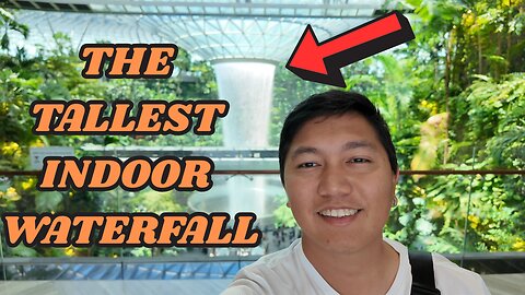 Rain Vortex: Changi Airport's Jewel