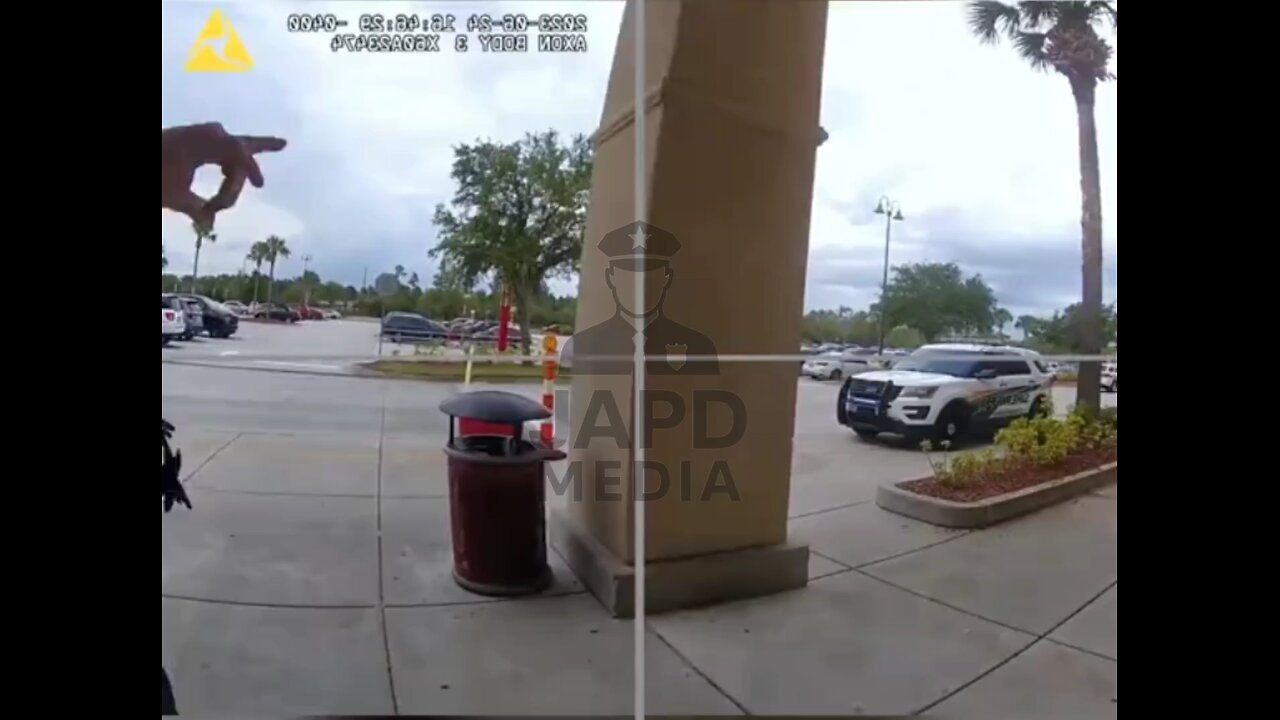 Teens Busted Stealing $5K in Snacks and Toys from Target #shoplifting #japd.