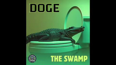 DOGE - The Swamp