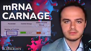 Nic Hulscher: How mRNA Covid Shots Decrease Women’s Fertility And Damage or Kill Their Unborn Babies