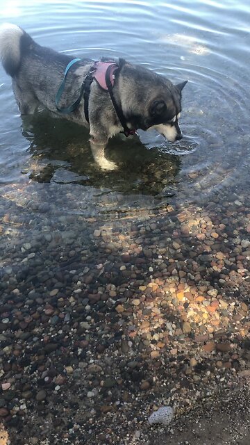 Tuesday September 16, Just as our bodies have many parts