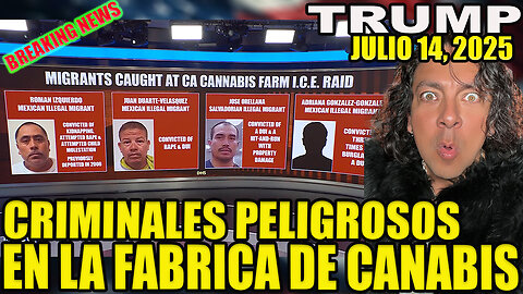 CRIMINALES PELIGROSOS ENTRE LOS ARRESTADOS EN LA FABRICA DE CANABIS