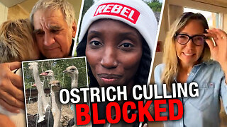Ostrich farm defends 'animal rights' after culling order delayed