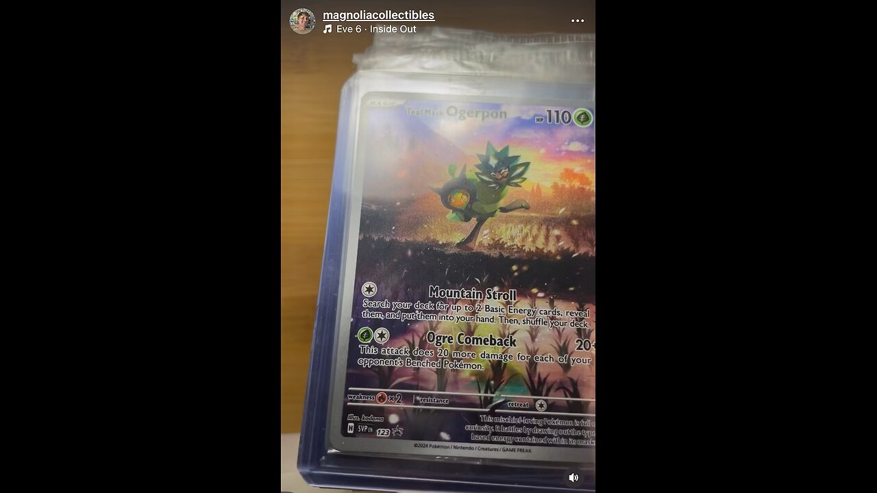 Sealed Singles Pokemon Showcase