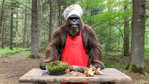bigfoot cooks his favorite meal 🍽️