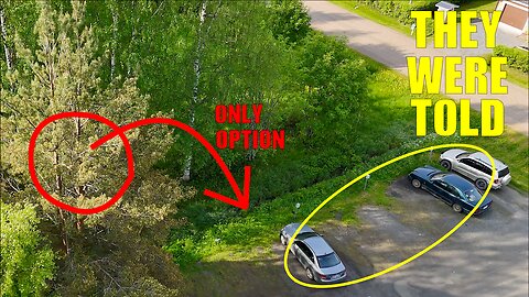 Didn’t Move the Car? Watch What This Pine Tree Did…
