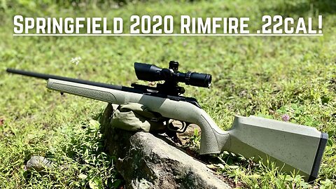 Springfield 2020 Rimfire .22 Field Review!