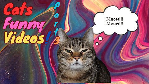 These CATS are too FUNNY! 🤣 | New Cat Videos 2025 (part 3)