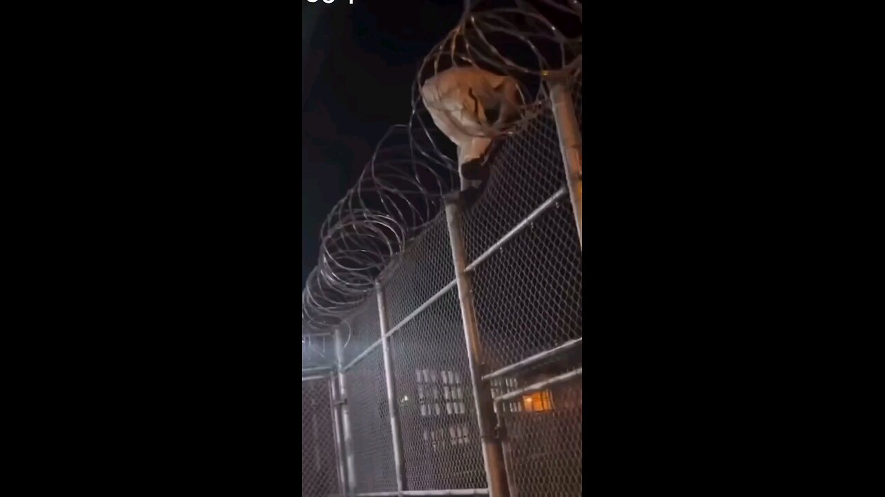 Possible #jailbreak #prisonbreak