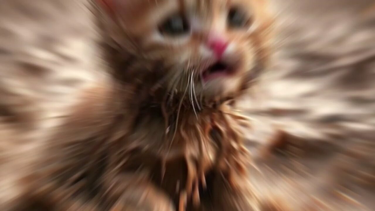 follow and share the video