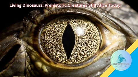Living Dinosaurs: Prehistoric Creatures Still Alive Today