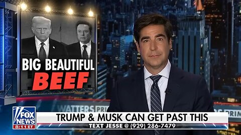 Elon Musk 'kind of forgot' this about Trump: Newt Gingrich