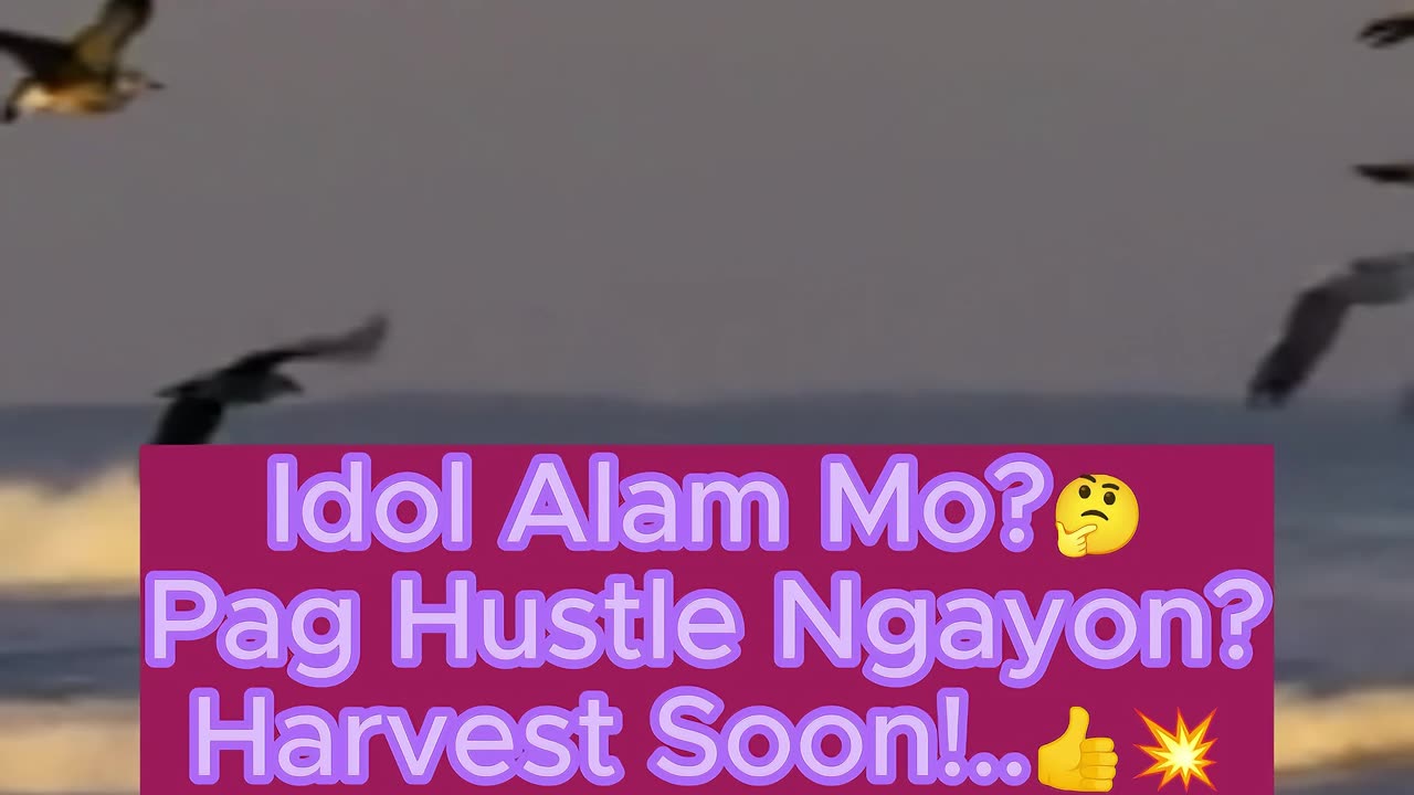 Hustle Ngayon Harvest Soon