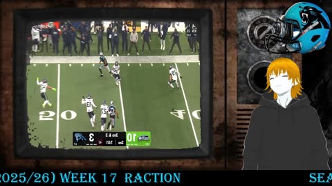 Panthers Fan to Week 17 Seattle Seahawks vs Carolina Panther