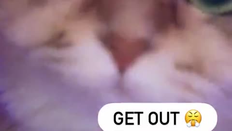Hey! Get Out Of Here!