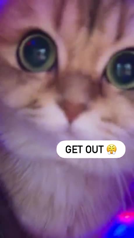 Hey! Get Out Of Here!