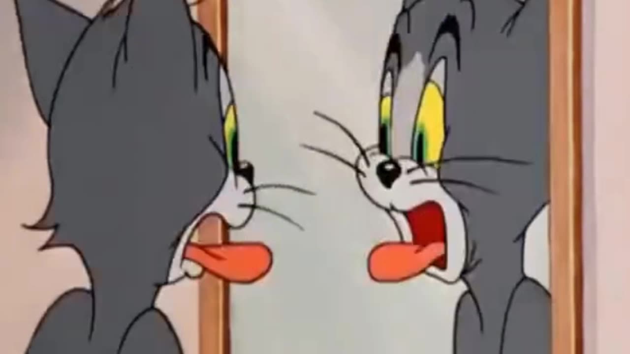 Tom and Jerry Old Cartoon 2015/16/17/18