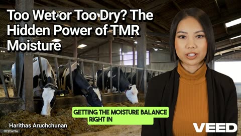 Too Wet or Too Dry:The Hidden Power of TMR Moisture