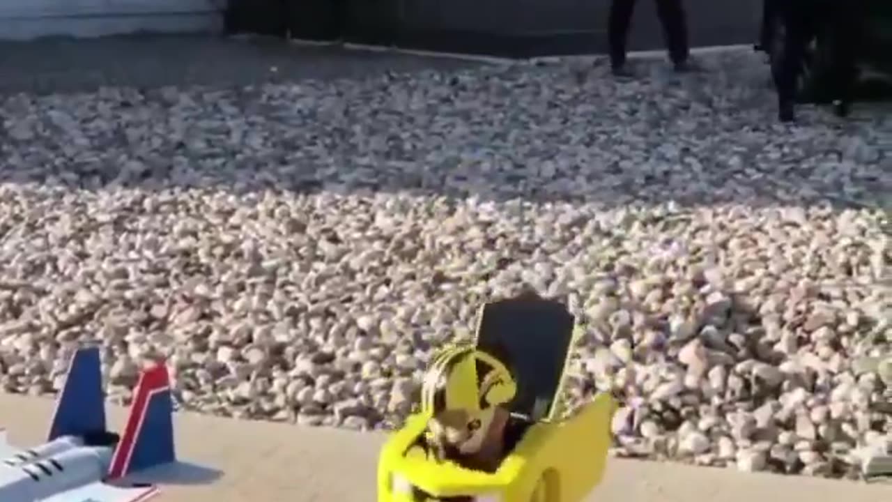 Happy Halloween 2025 🎃🎃🎃