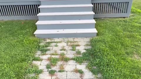 Lucille Ball Childhood Home