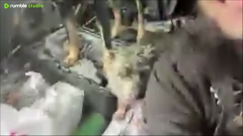 Crocodile Dundee isn’t Mohamed