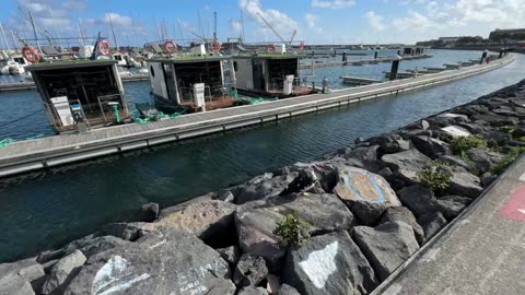 LIVE: Ponta Delgada Preparations for Santo Cristo and Walk, Sao Miguel Azores Portugal - 16.05.2025