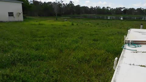 3780 Downwind North Fort Myers Fl