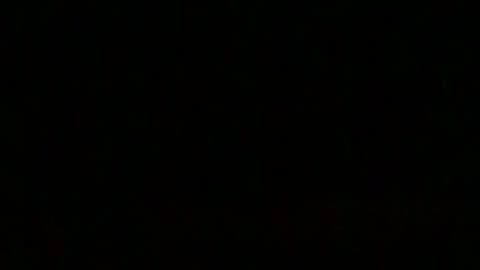 Fox Screaming Outside 2