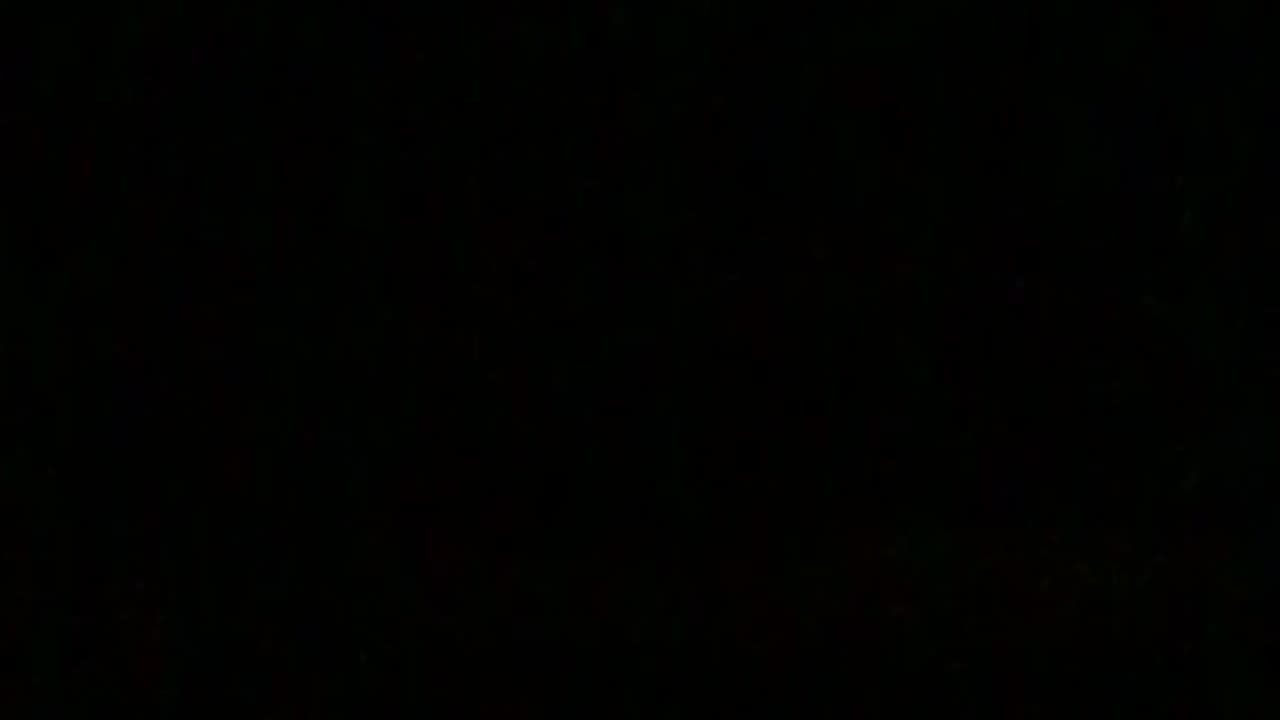 Fox Screaming Outside 2