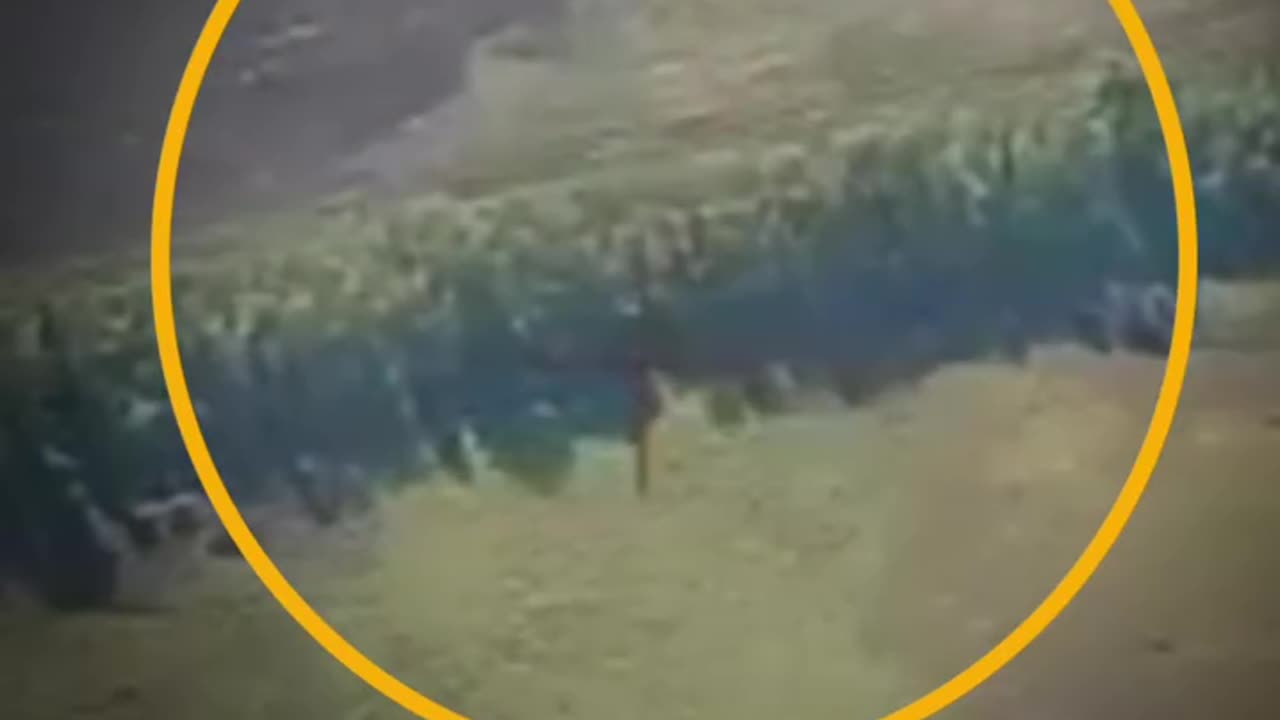Ukrainian Artillery Engaging Russian Positions