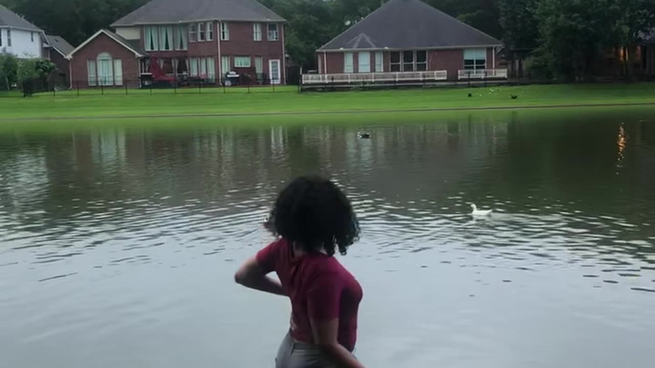 When Nature Attacks