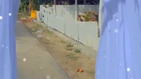 Beautiful video